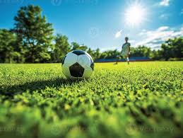 资深彩民数据分析场景